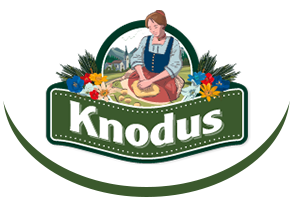 Knodus Logo